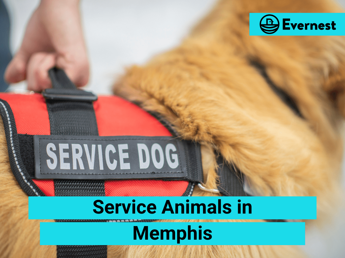 Service Animals: Everything Landlords Need to Know in Memphis, Tennessee